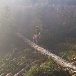 Waldbetreuung