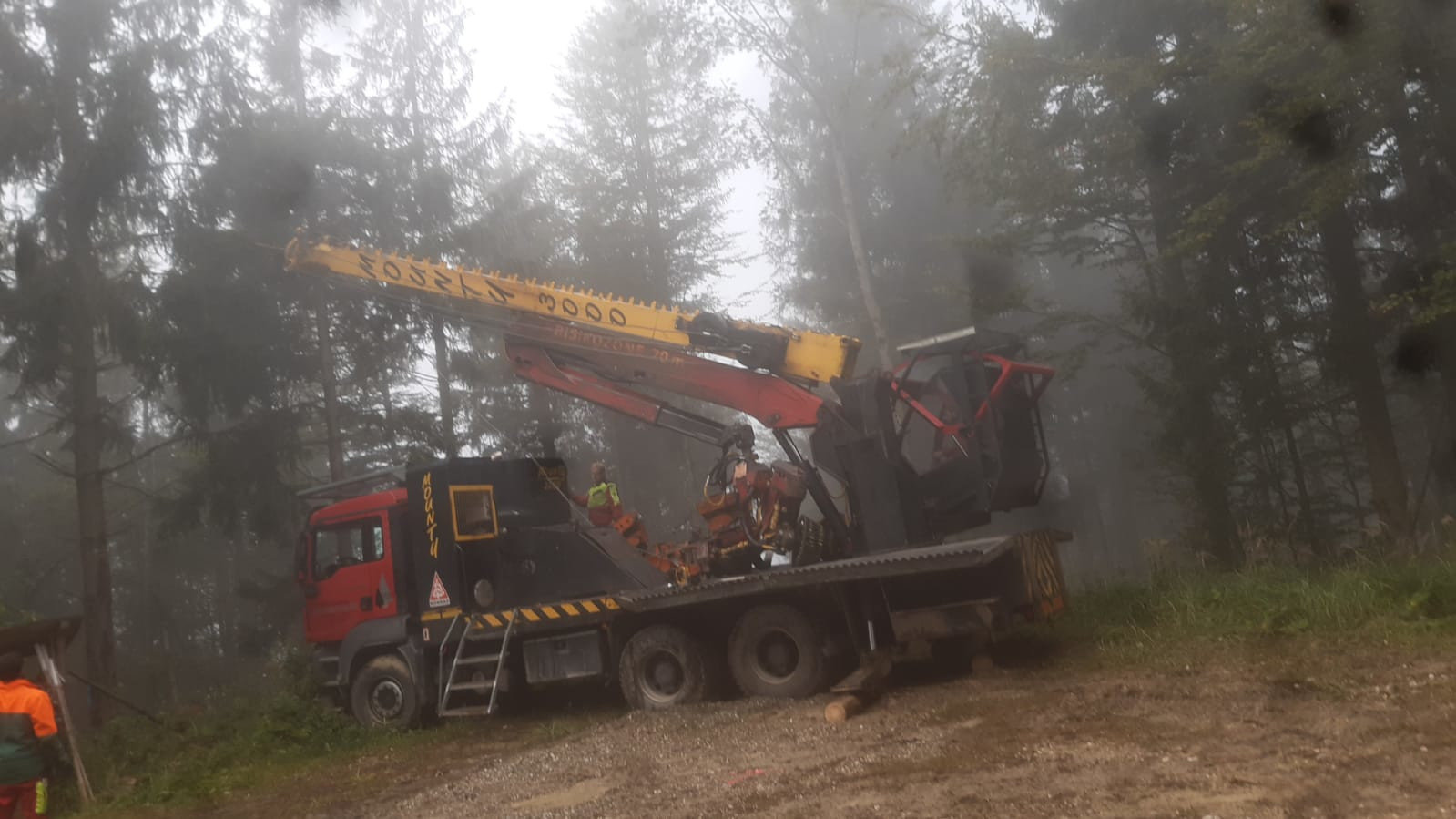 Baumfällung im Attergau