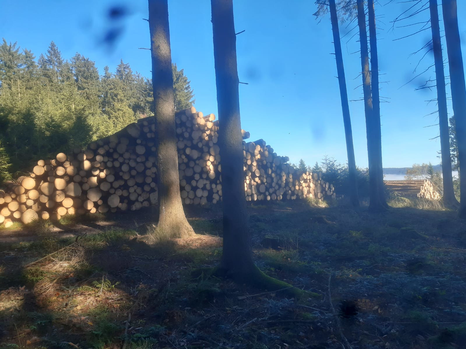 Waldbetreuung im Attergau