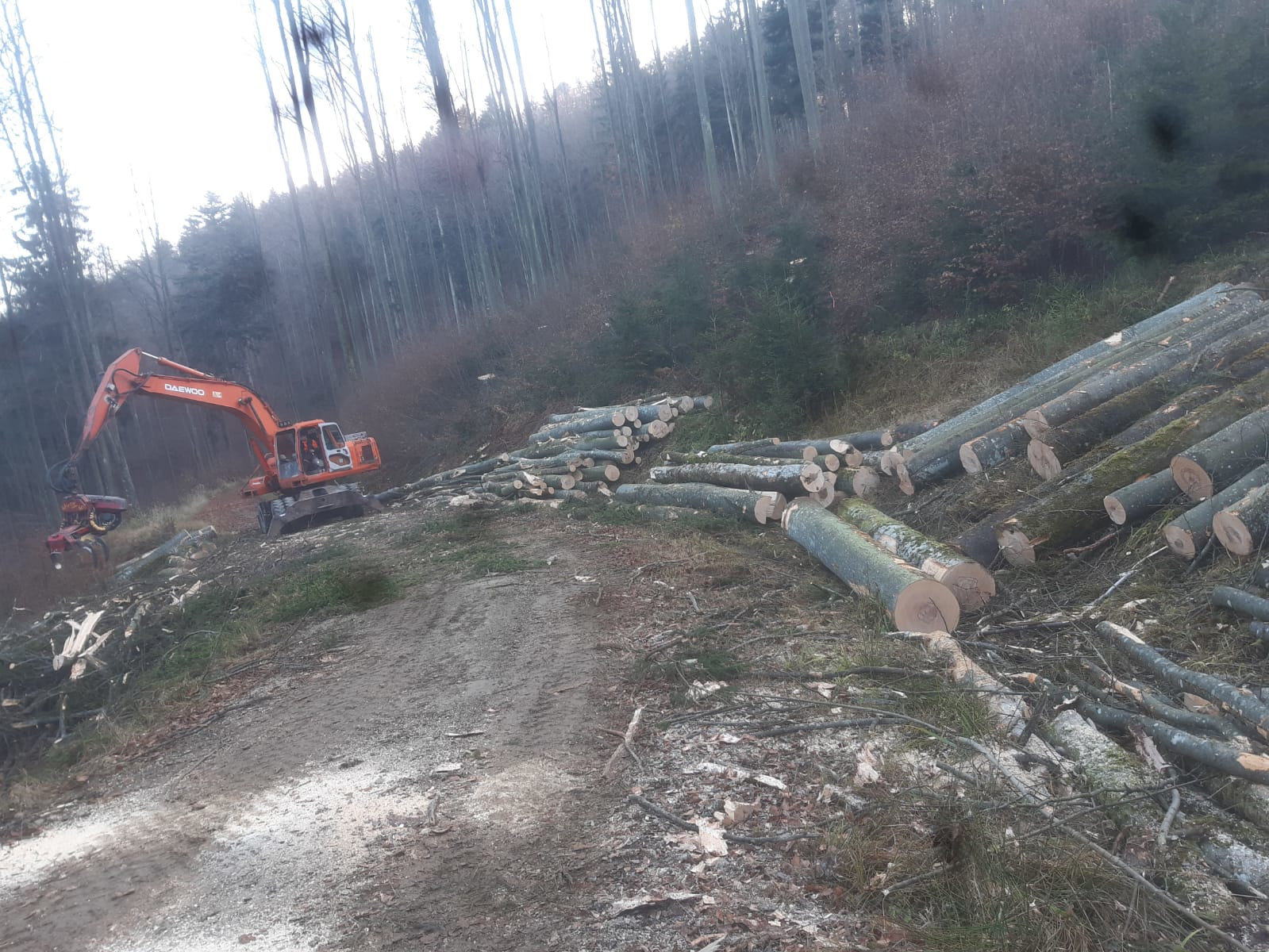 Forstarbeiten im Attergau