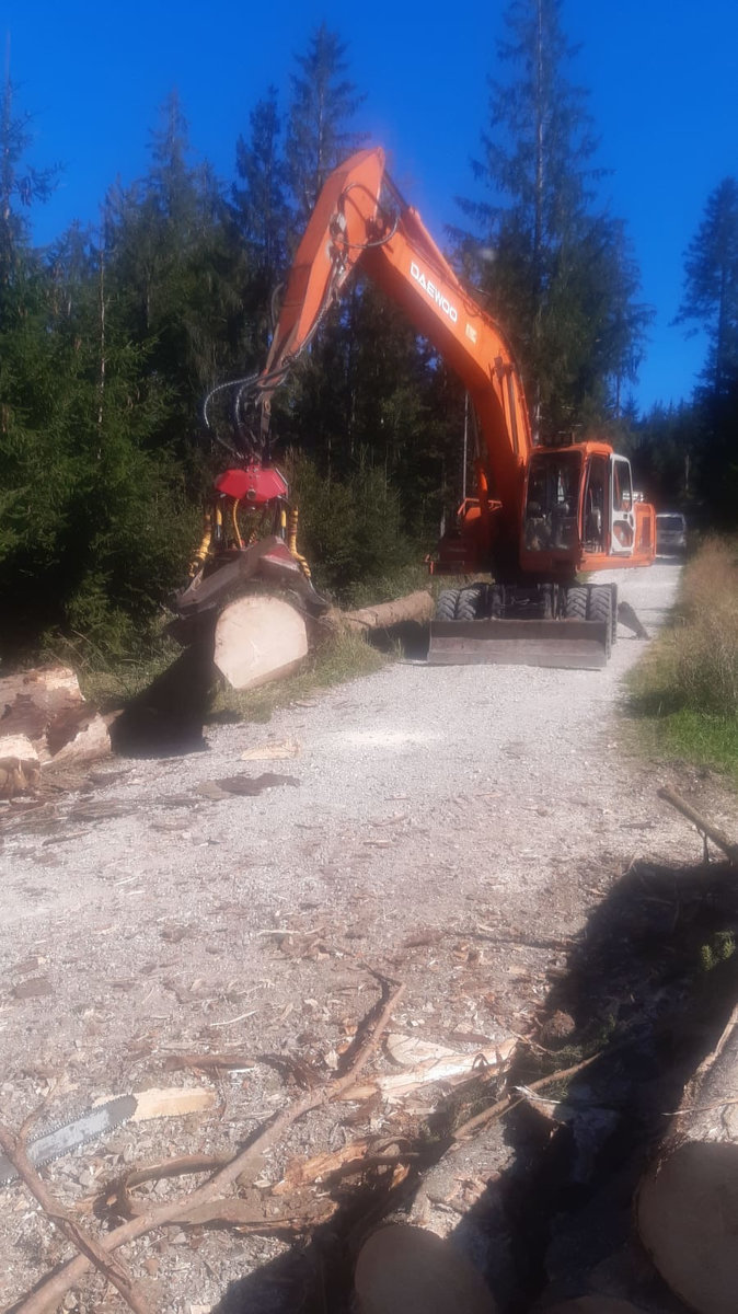 Bagger Forstunternehmen Steinbichler