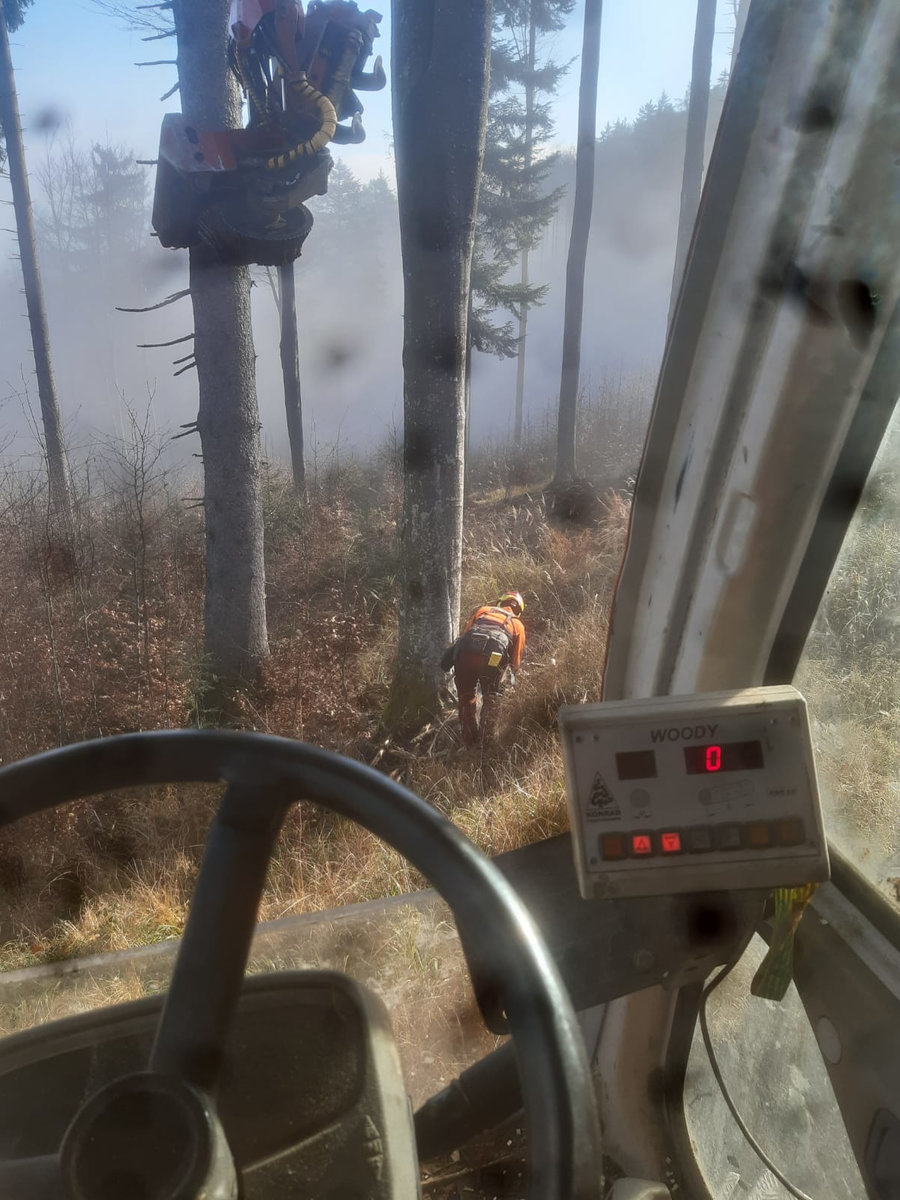 Baum fällen Forstunternehmen Steinbichler