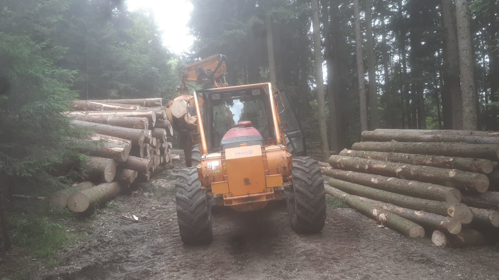 Holzschlägerung Forstunternehmen Steinbichler