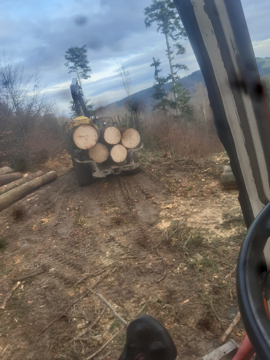 Holzbringung Forstunternehmen Steinbichler