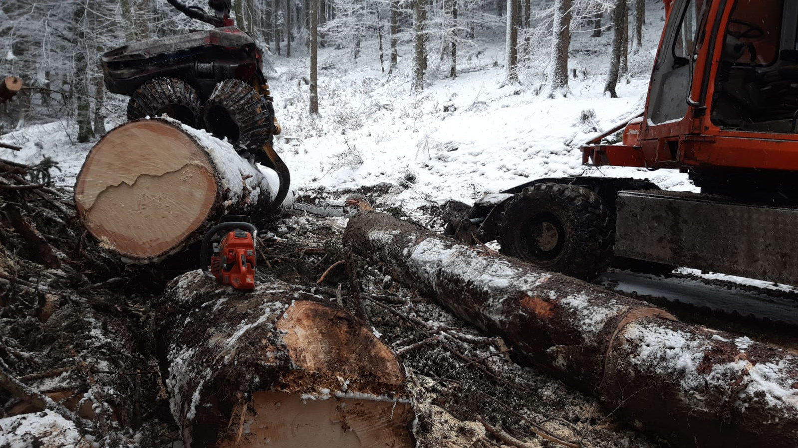 Holzarbeiten Forstunternehmen Steinbichler