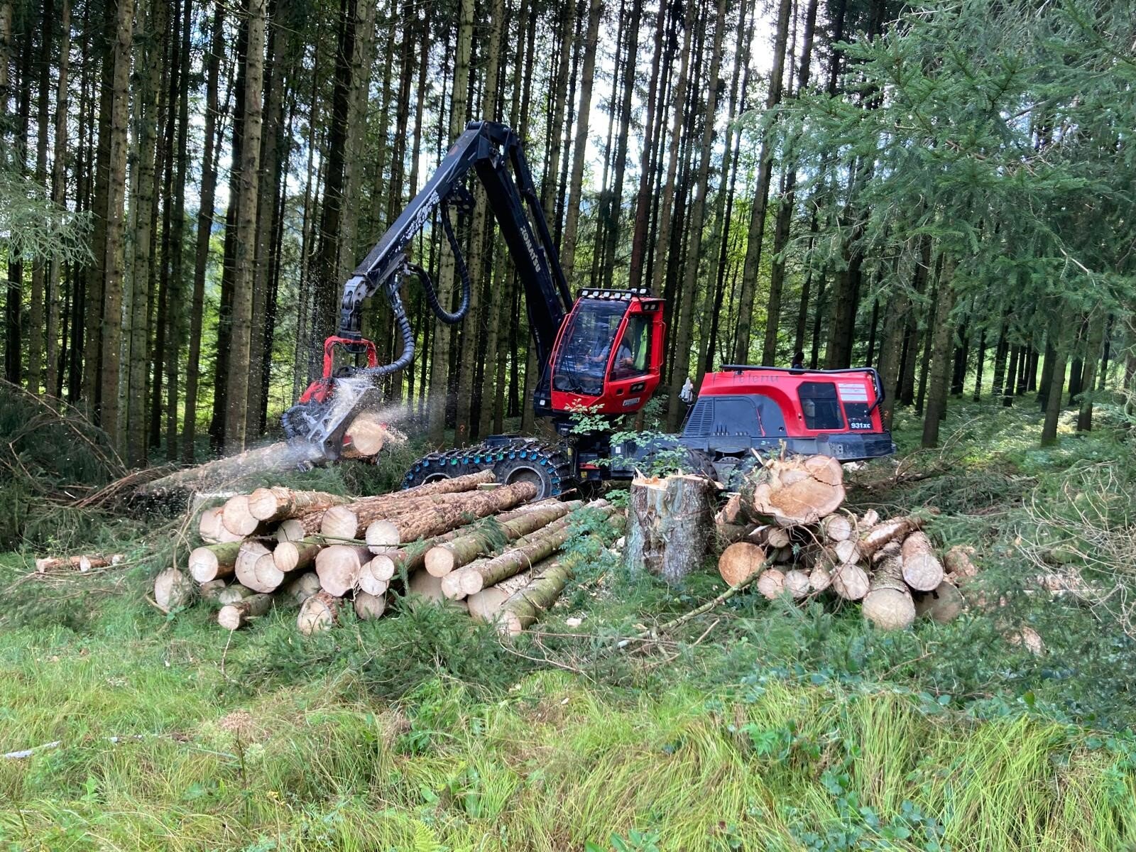 Harvester im Wald